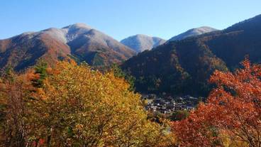 施設の敷地 / 17