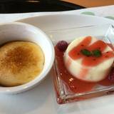 飛鳥彩瑠璃の丘 天極堂テラス（アスカサイルリノオカテンギョクドウテラス）