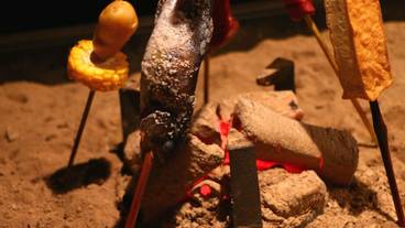 食事・飲み物 / 1