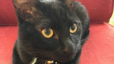 施設内の設備 / 6