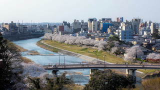 スタンダード 和室 10畳  2名利用 禁煙