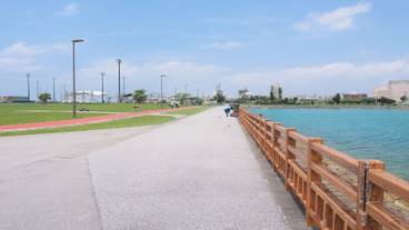 シティ ビュー / 15