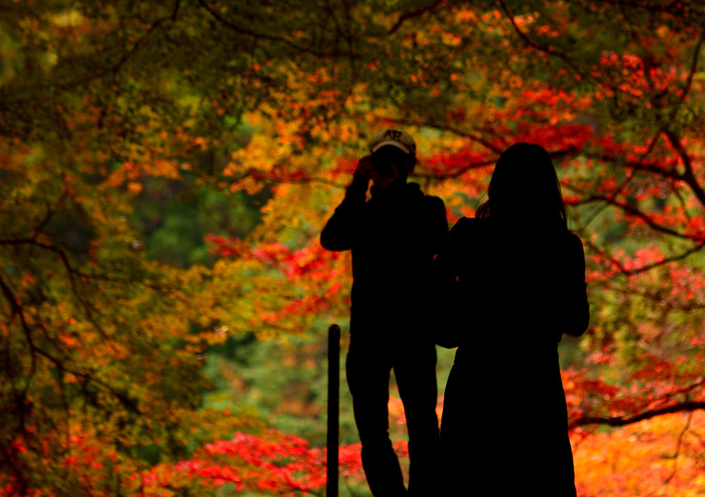 秋は香嵐渓で、情緒あふれる素敵なデートを♡1717766