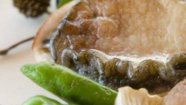 レストラン / 13