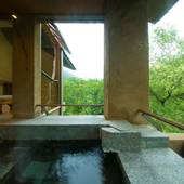 別邸 仙寿庵（群馬県 旅館） / 3