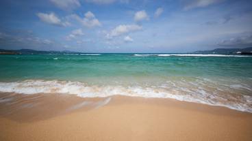 ビーチ / オーシャン ビュー / 17