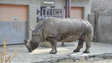 観光スポット / 8