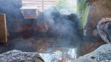 ガーデン ビュー / 18