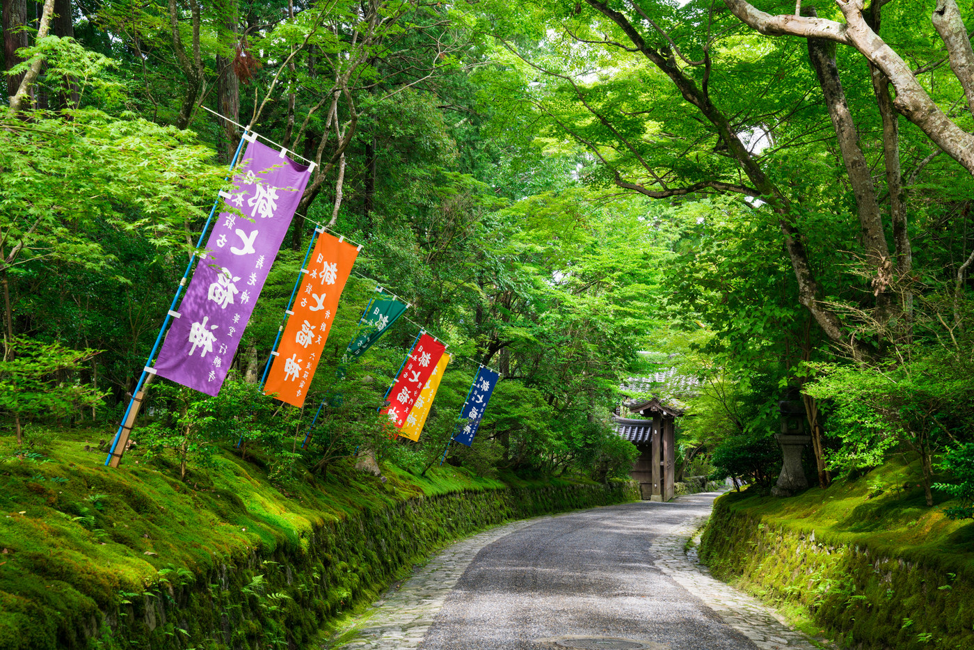 京都 赤山禅院の新緑