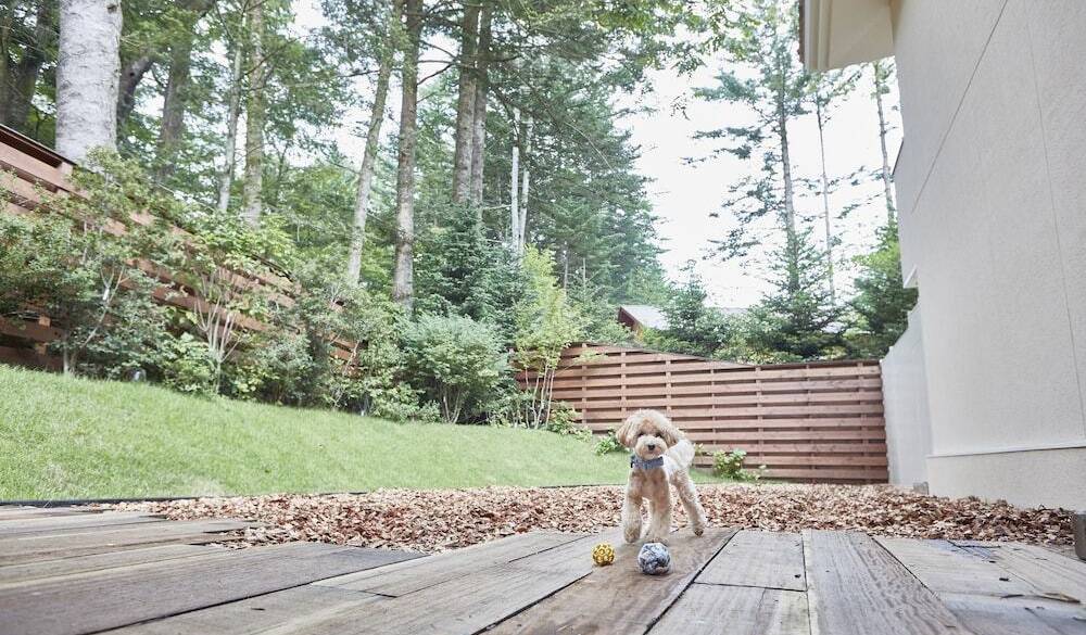 のんびりホテルを楽しみ
チェックアウト / 2