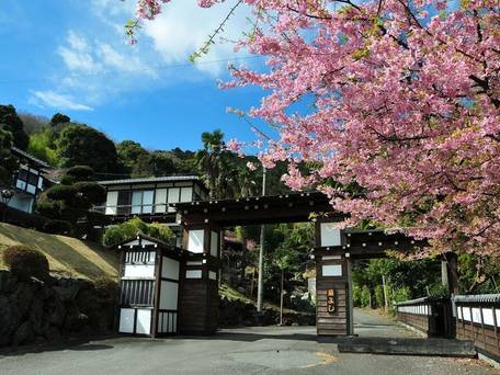 伊東温泉 横浜藤よし伊豆店 / 1