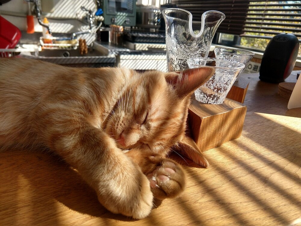 リビング エリア