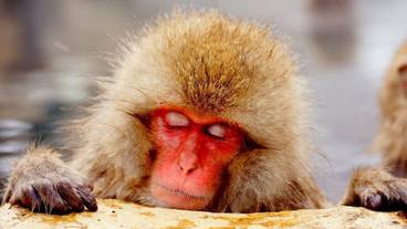 観光スポット / 18