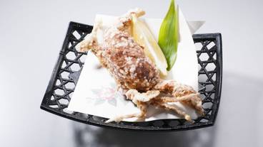 食事・飲み物 / 7