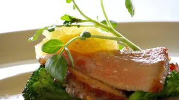 食事・飲み物 / 1