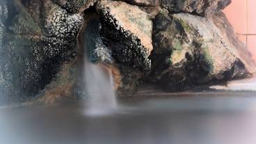 共用バスルーム / 39