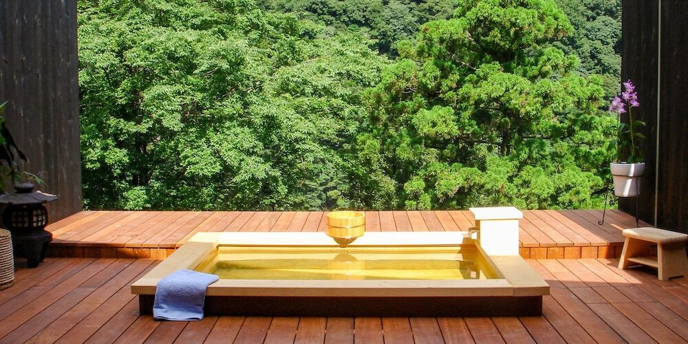 食や景色で箱根の四季を感じる3562203