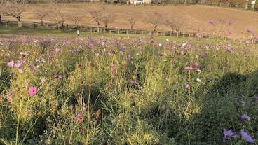 観光スポット / 3