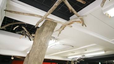 ボールルーム / 20