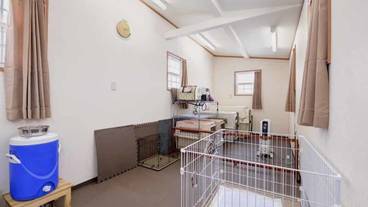 ペット同伴可 / 8