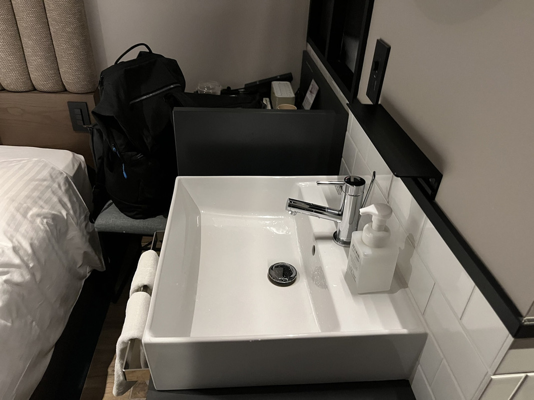 ベッドの脇に洗面台のある中々見ない造り