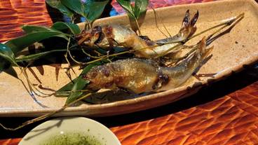 食事・飲み物 / 12