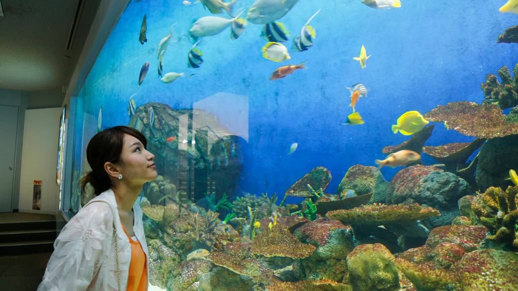 城崎マリンワールド / 1