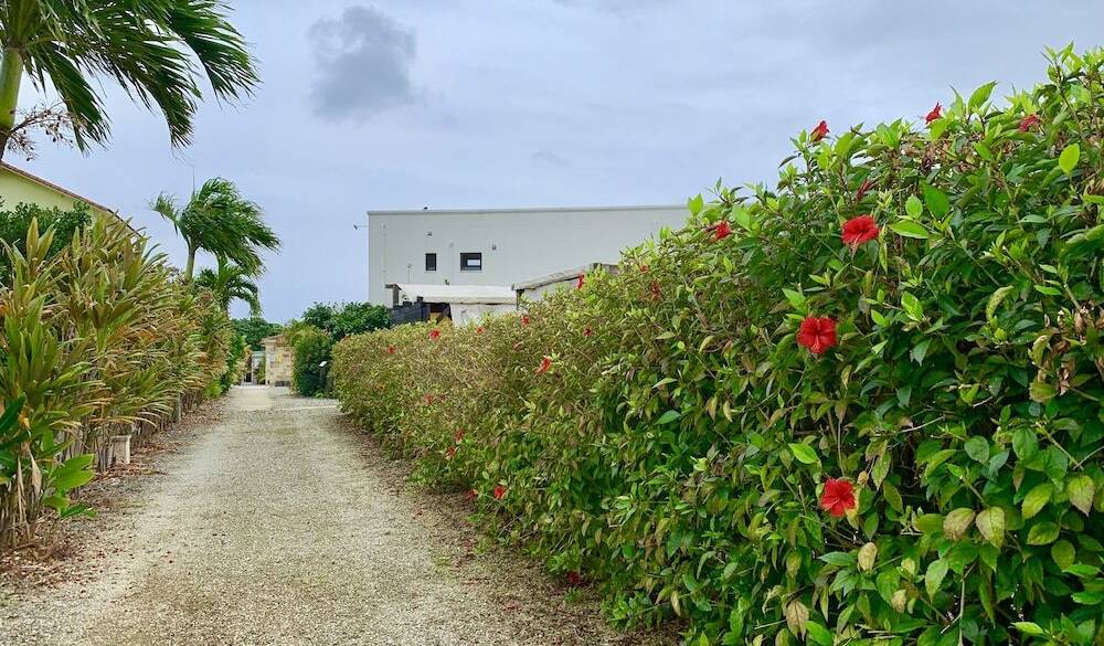 市街地から離れた
白亜のヴィラ / 1