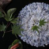 個室の食事処で
丹後の幸をいただく / 4