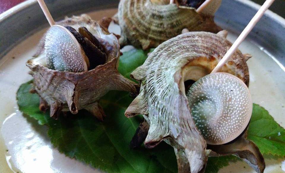 下田でお魚ランチ
「いず松陰」 / 5