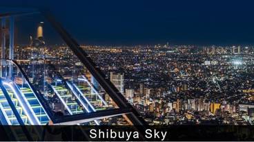 シティ ビュー / 21