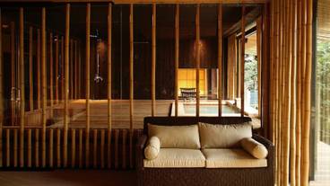 金乃竹 仙石原（キンノタケセンゴクハラ） / 2