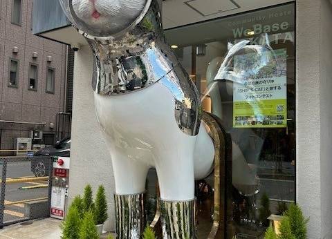 WeBase博多(福岡県 ゲストハウス・ホステル・ドミトリー) / 1