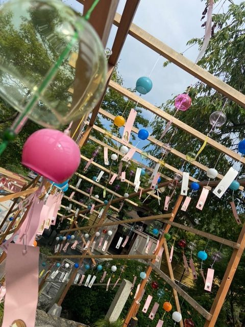 flower__m91さんの写真 / 5