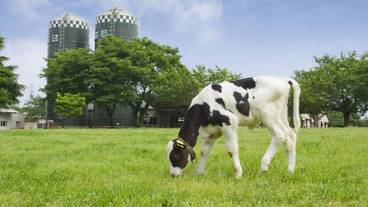 観光スポット / 7