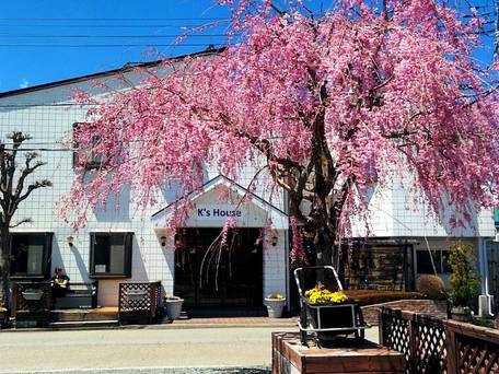 バックパッカーズホステル ケイズハウス富士ビュー / 4