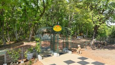 テラス / パティオ / 13