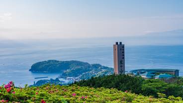 星ヶ山公園 さつきの郷 / 1