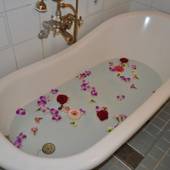 ローズウッド ガーデン＆ヴィラ（栃木県 別荘・ヴィラ・コンドミニアム） / 3