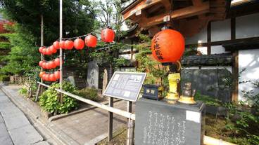 施設からの眺望 / 5