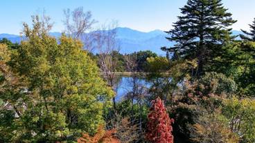 レイク ビュー / 13