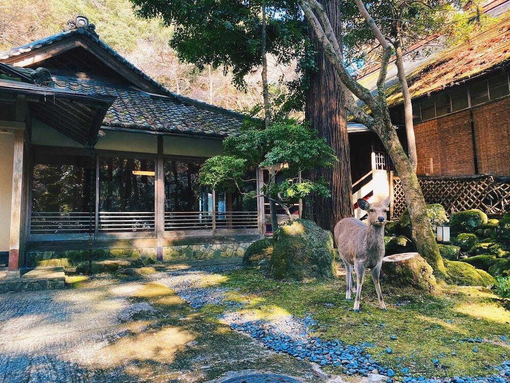 奈良の美しい風景が2人の思い出に4284949
