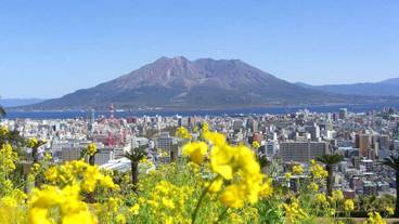 施設からの眺望 / 36