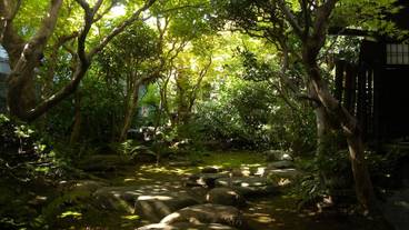 メイン イメージ / 1