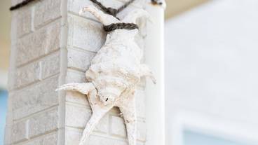 客室の設備とサービス / 15