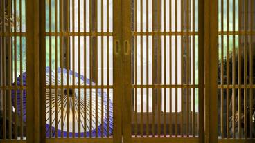 内部エントランス / 4