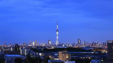 施設からの眺望 / 12