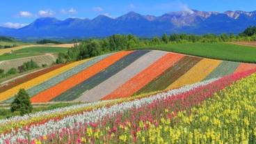 観光スポット / 4