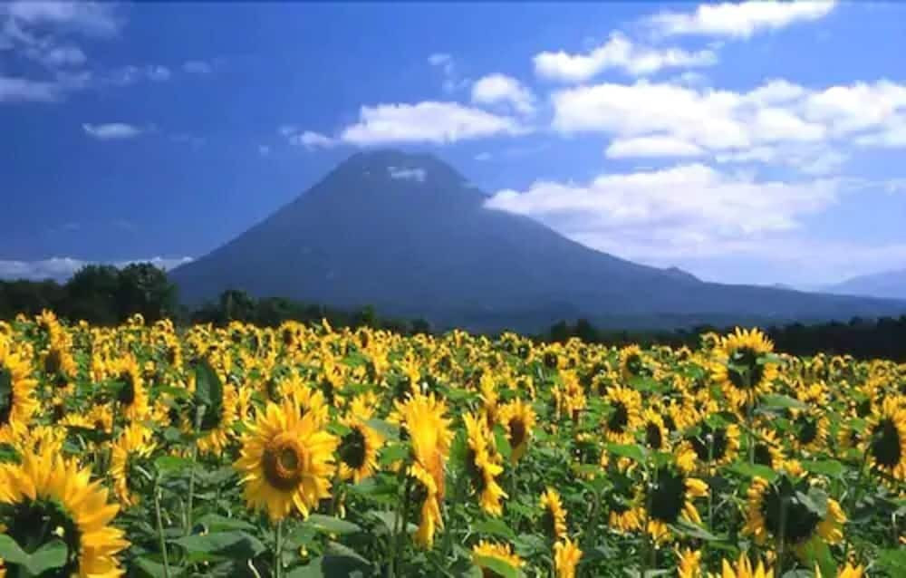 施設からの眺望