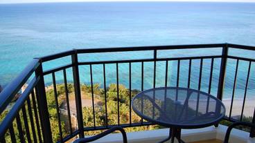 客室からの眺望① / 12